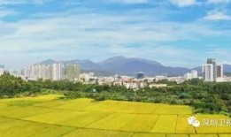 深汕合作区爆料事件最新,揭秘背后真相与影响